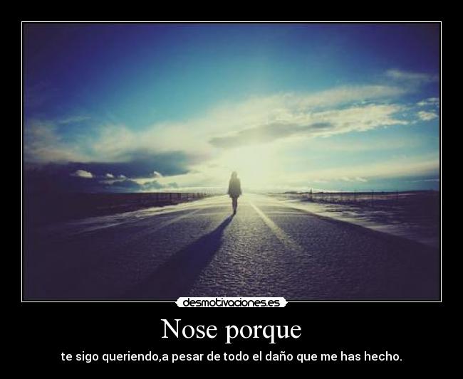 Nose porque - te sigo queriendo,a pesar de todo el daño que me has hecho.