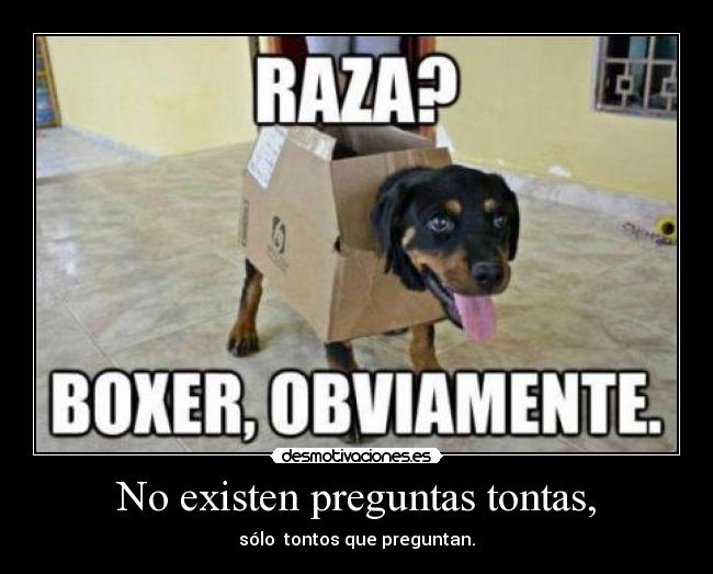 No existen preguntas tontas, - sólo tontos que preguntan.