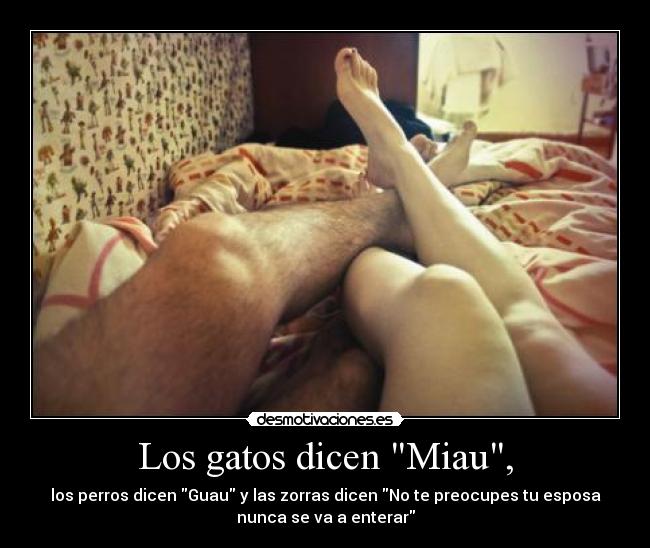 Los gatos dicen Miau, -