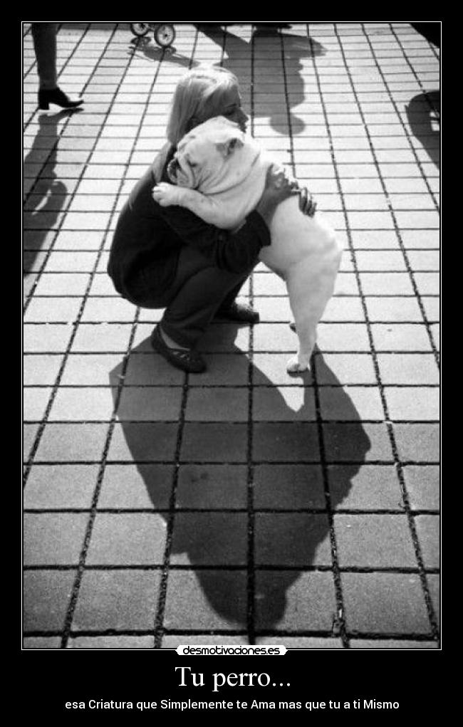 Tu perro... -