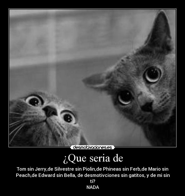 ¿Que seria de - Tom sin Jerry,de Silvestre sin Piolin,de Phineas sin Ferb,de Mario sin
Peach,de Edward sin Bella, de desmotivciones sin gatitos, y de mi sin
ti?
NADA