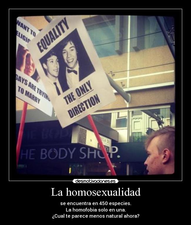 La homosexualidad -