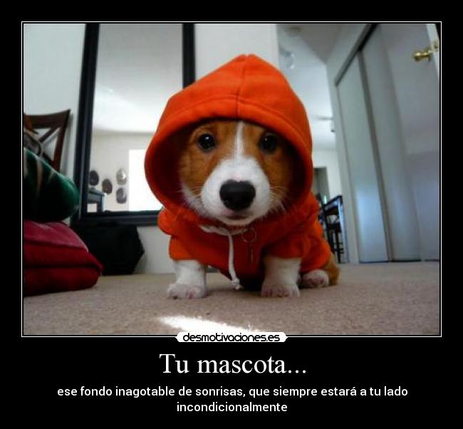 Tu mascota... - ese fondo inagotable de sonrisas, que siempre estará a tu lado incondicionalmente