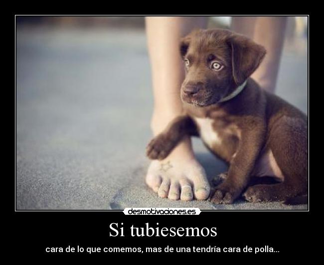 Si tubiesemos - cara de lo que comemos, mas de una tendría cara de polla...