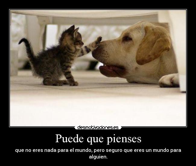 Puede que pienses - que no eres nada para el mundo, pero seguro que eres un mundo para alguien.