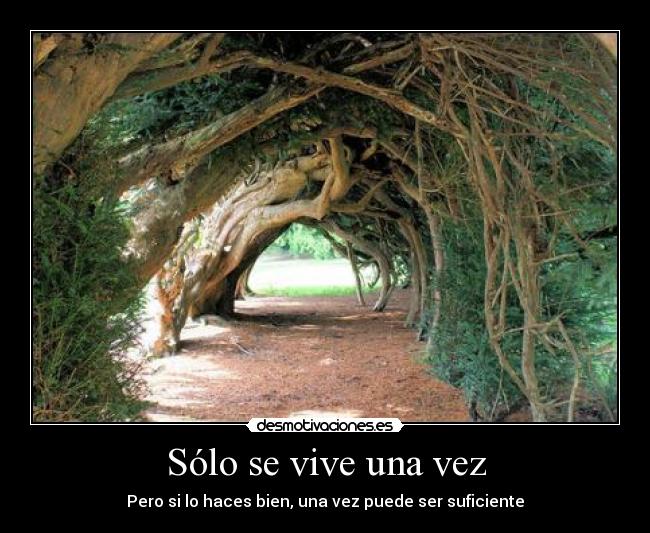 Sólo se vive una vez - 