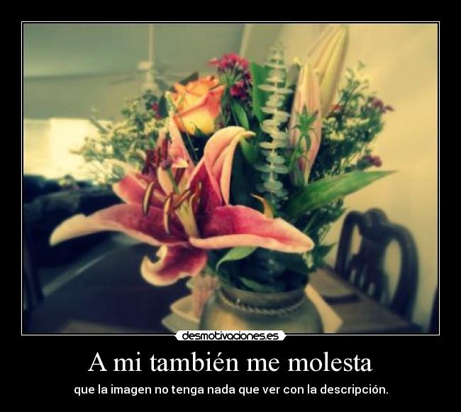 A mi también me molesta - que la imagen no tenga nada que ver con la descripción.