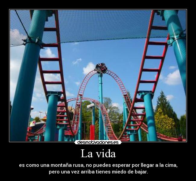 carteles vida vida desmotivaciones