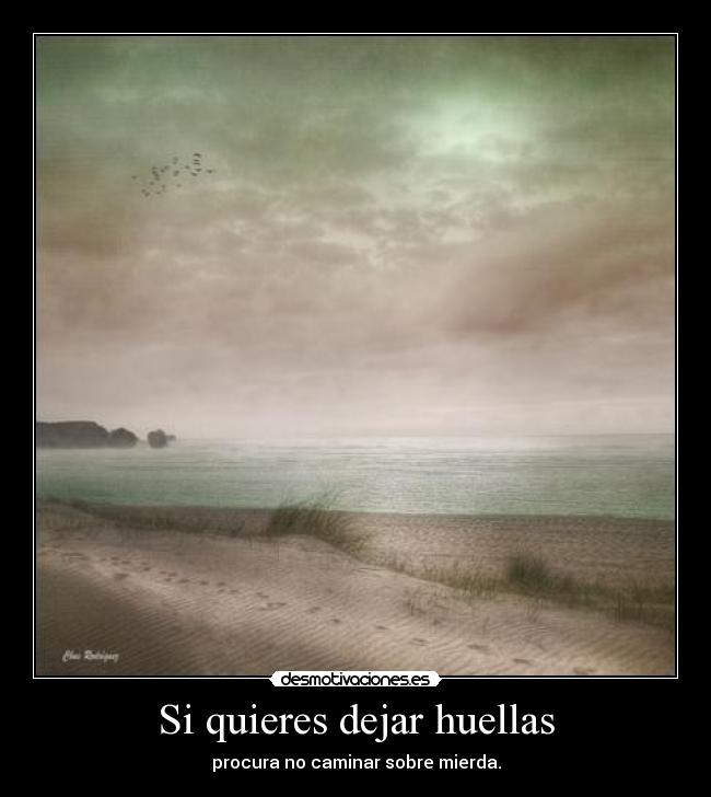 Si quieres dejar huellas -