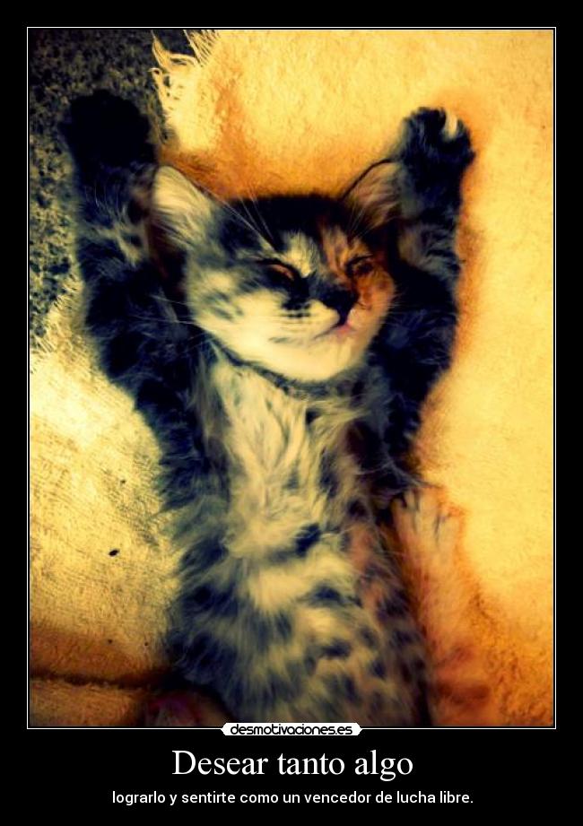 carteles xddd desmotivaciones