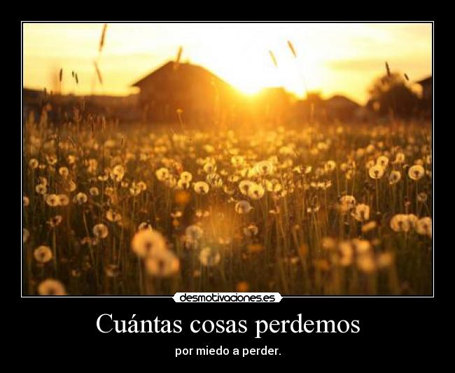 Cuántas cosas perdemos - por miedo a perder.