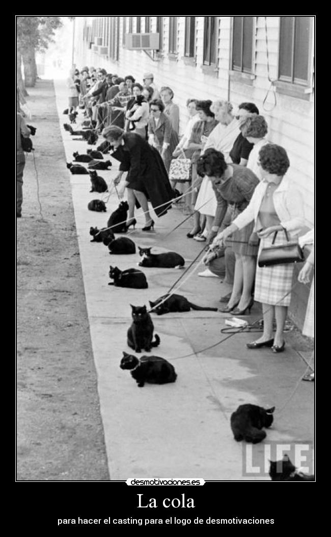 carteles javkaos las noticias vuelan jojojo desmotivaciones