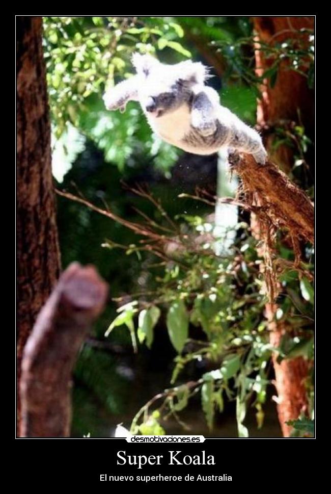 Super Koala - El nuevo superheroe de Australia