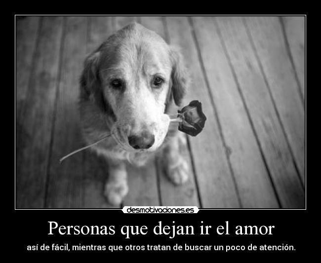Personas que dejan ir el amor - así de fácil, mientras que otros tratan de buscar un poco de atención.