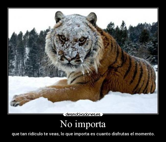 No importa - que tan ridículo te veas, lo que importa es cuanto disfrutas el momento.