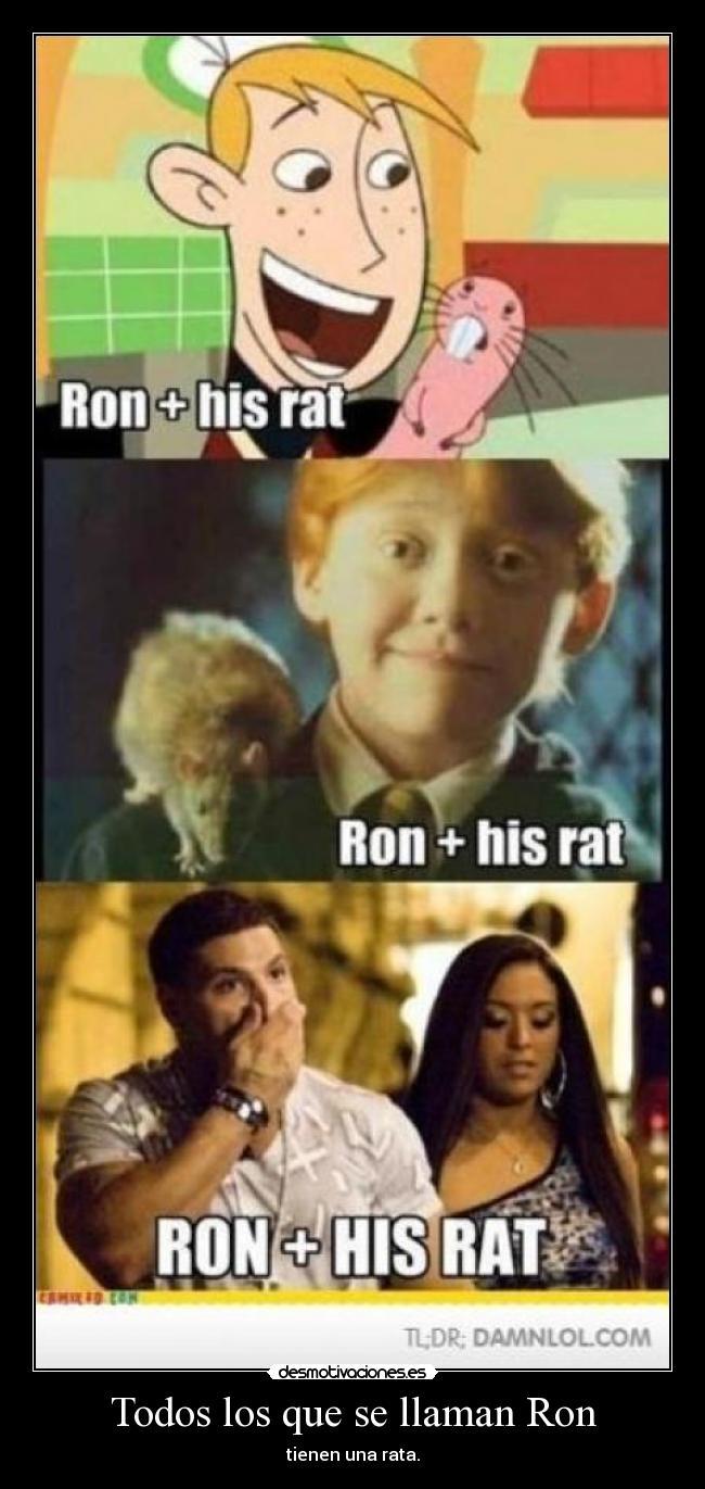 Todos los que se llaman Ron - tienen una rata.