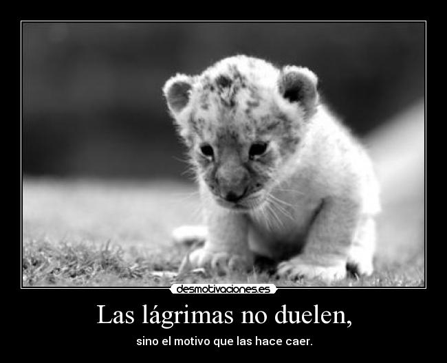 Las lágrimas no duelen, -