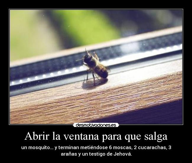 carteles ventana mosquito moscas cucarachas arana jehova desmotivaciones