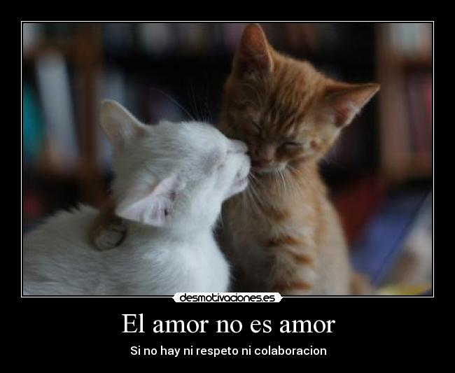 El amor no es amor - Si no hay ni respeto ni colaboracion