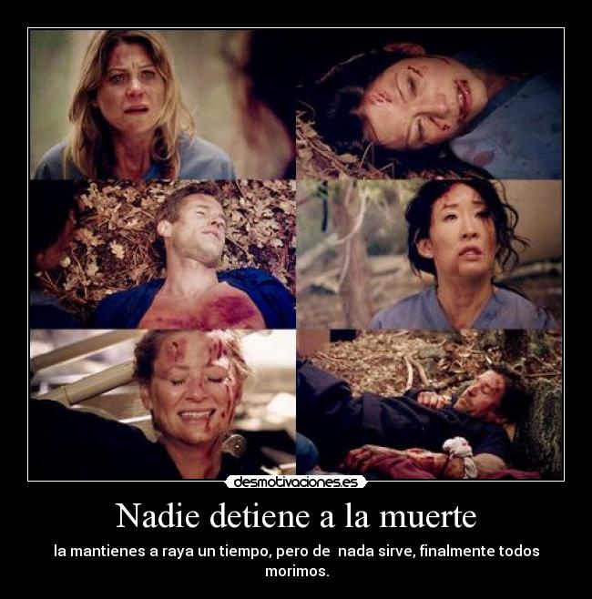 carteles muerte luggage anatomia grey meredith lexie sloan yang arizona derek callie gracias por los negativos desmotivaciones