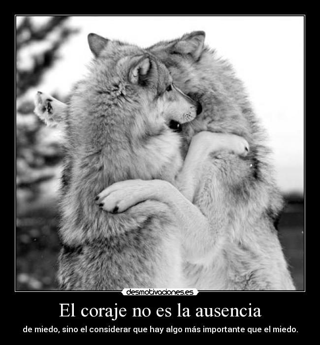 carteles ausencia carlososuna96 desmotivaciones