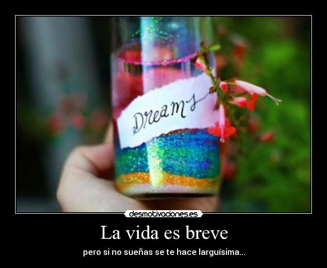 La vida es breve - 