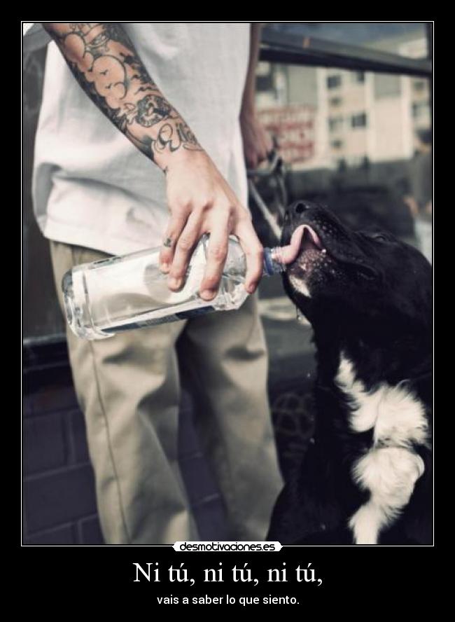 Ni tú, ni tú, ni tú, - vais a saber lo que siento.