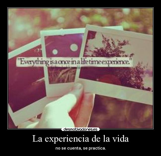 La experiencia de la vida - 