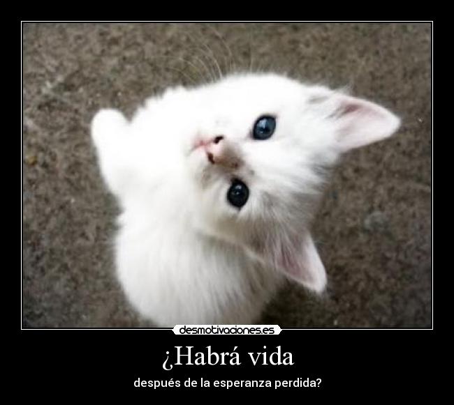 ¿Habrá vida - después de la esperanza perdida?