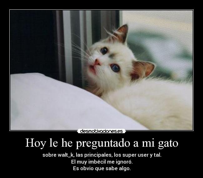 Hoy le he preguntado a mi gato - sobre walt_k, las principales, los super user y tal.
El muy imbécil me ignoró.
Es obvio que sabe algo.