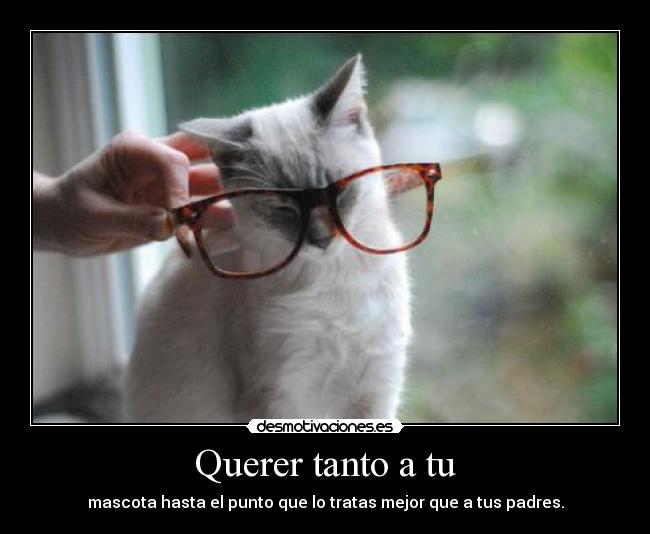 carteles smile9611 desmotivaciones