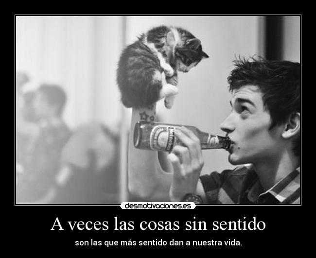 A veces las cosas sin sentido - son las que más sentido dan a nuestra vida.