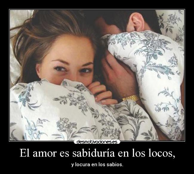 El amor es sabiduría en los locos, - y locura en los sabios.