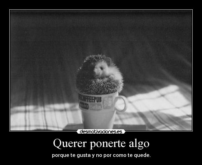 Querer ponerte algo -