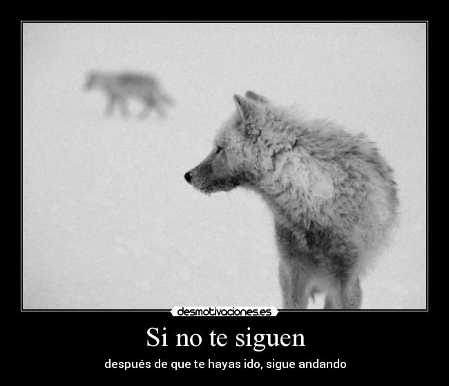 Si no te siguen -