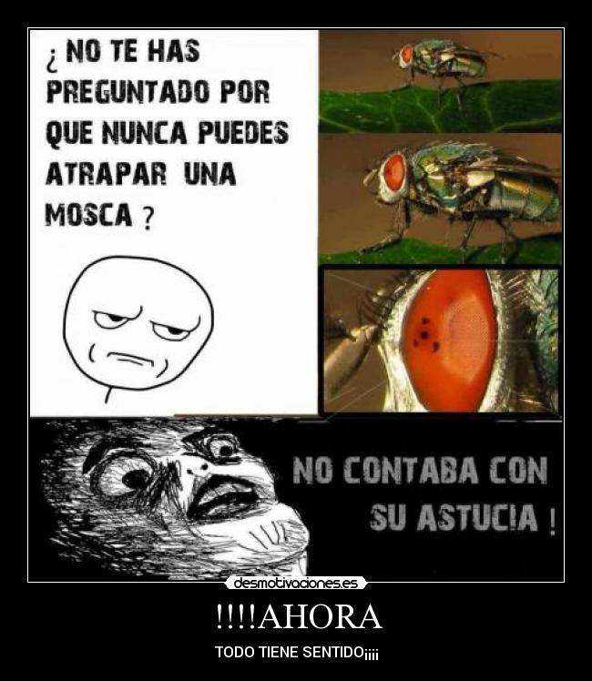 !!!!AHORA - TODO TIENE SENTIDO¡¡¡¡