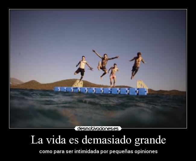 La vida es demasiado grande -