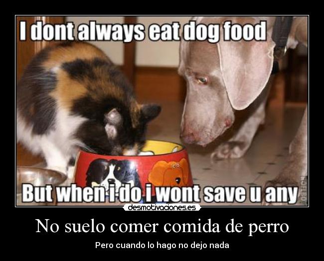 No suelo comer comida de perro -