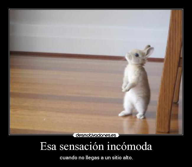 carteles asd desmotivaciones