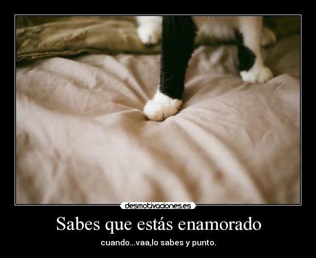 Sabes que estás enamorado - cuando...vaa,lo sabes y punto.