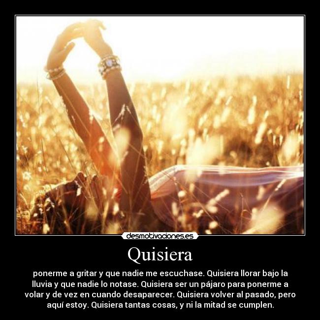 Quisiera -