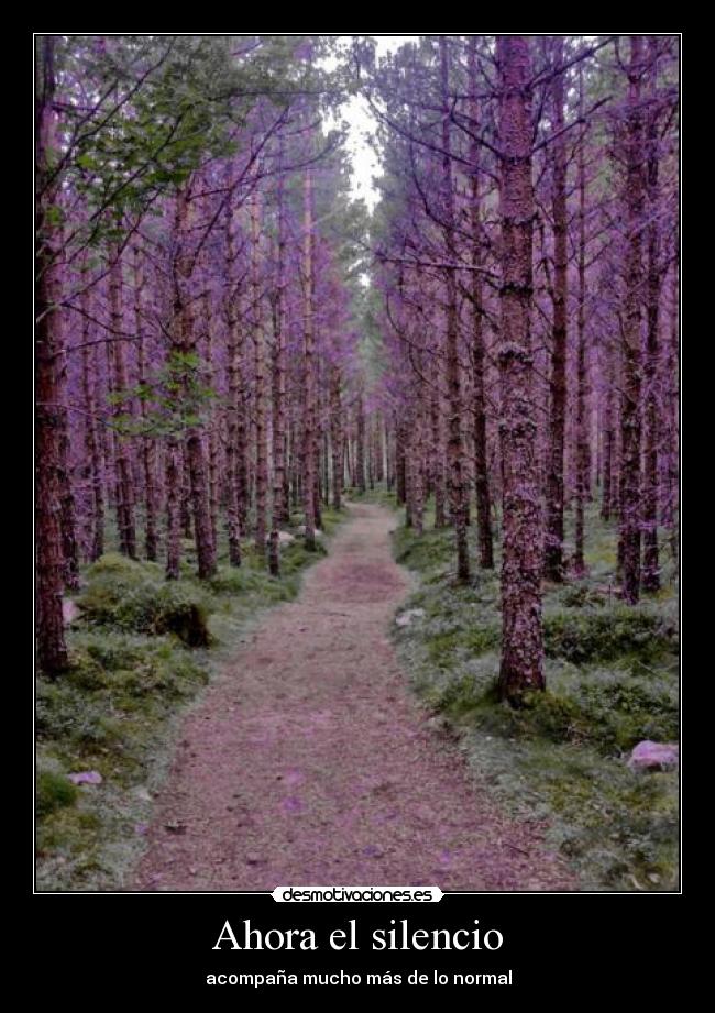 Ahora el silencio - acompaña mucho más de lo normal