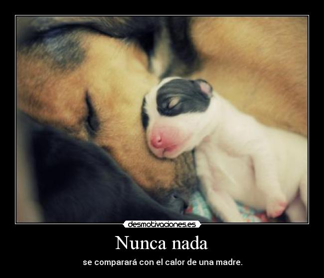 Nunca nada - se comparará con el calor de una madre.