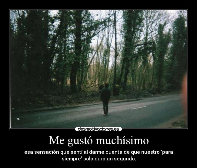 Me gustó muchísimo -