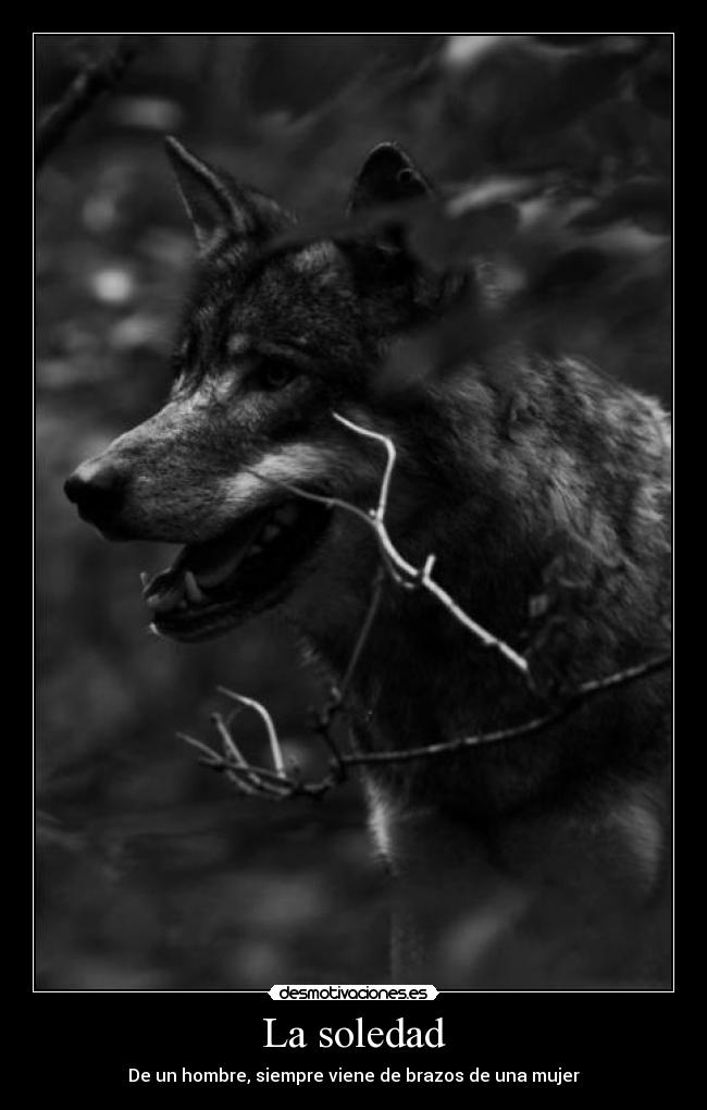 La soledad - De un hombre, siempre viene de brazos de una mujer