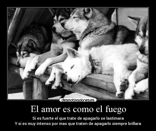 El amor es como el fuego - Si es fuerte el que trate de apagarlo se lastimara
Y si es muy intenso por mas que traten de apagarlo siempre brillara