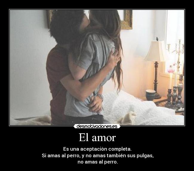 El amor - 