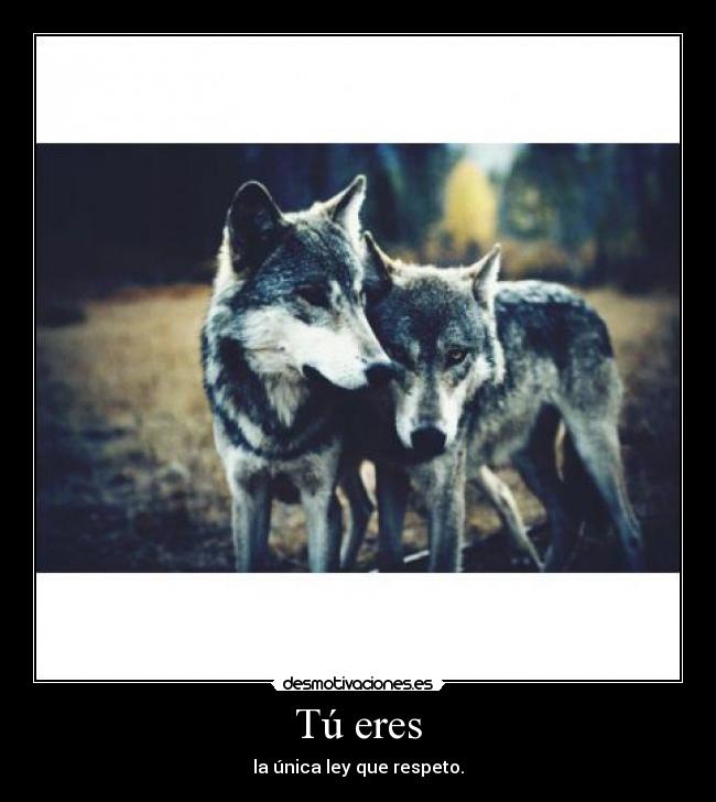 Tú eres - la única ley que respeto.