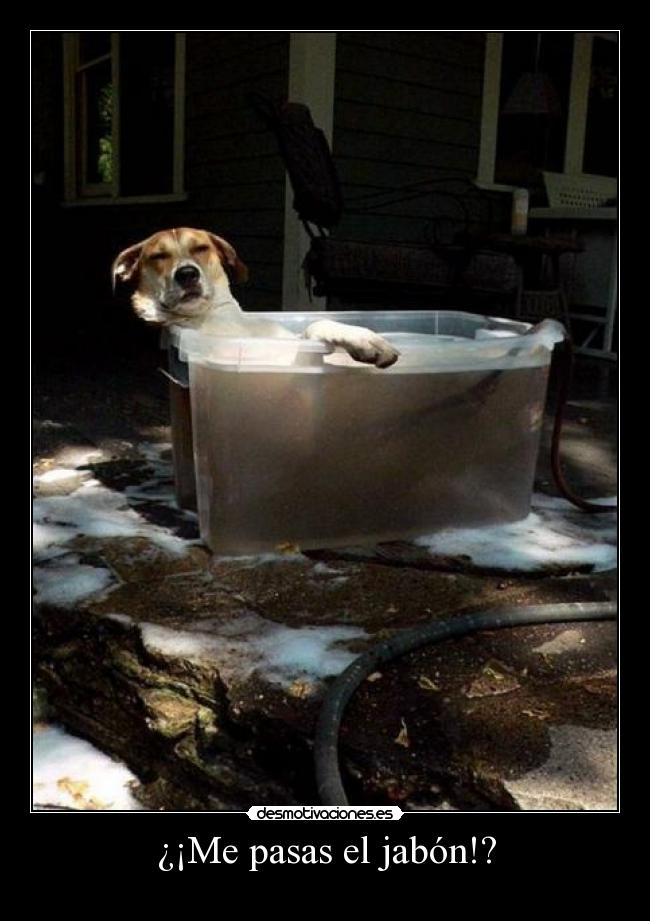 ¿¡Me pasas el jabón!? -