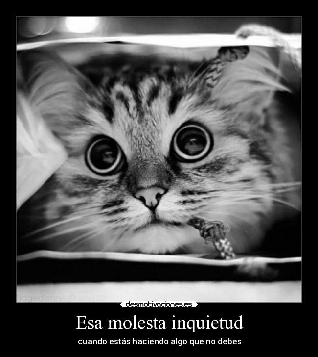 Esa molesta inquietud -